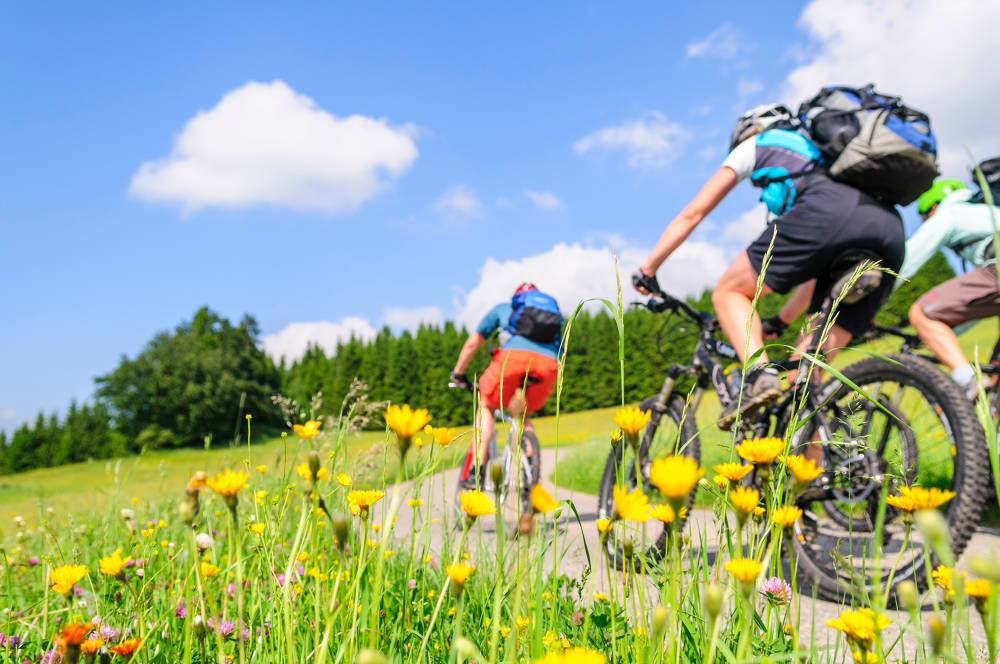 Asvolt | La Vallée à vélo